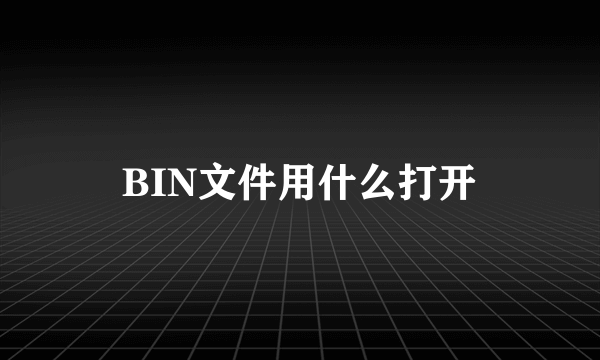 BIN文件用什么打开