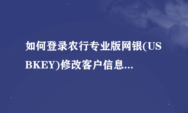 如何登录农行专业版网银(USBKEY)修改客户信息（手机号修改）？