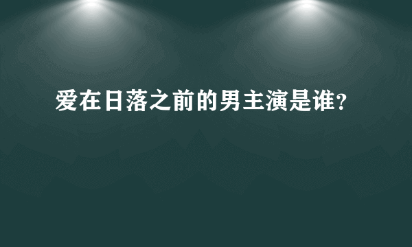 爱在日落之前的男主演是谁？