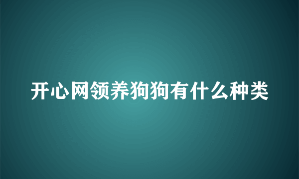 开心网领养狗狗有什么种类