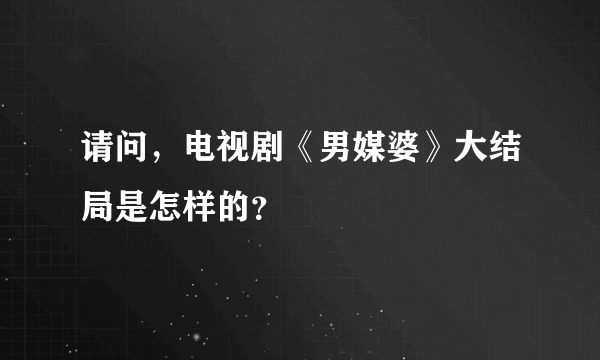 请问，电视剧《男媒婆》大结局是怎样的？