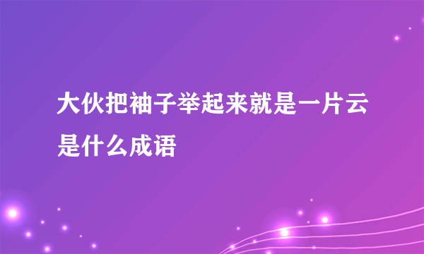 大伙把袖子举起来就是一片云是什么成语