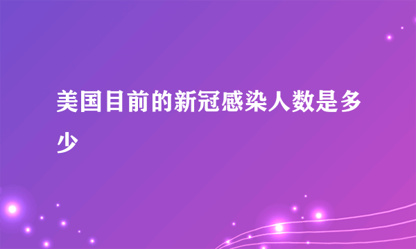 美国目前的新冠感染人数是多少