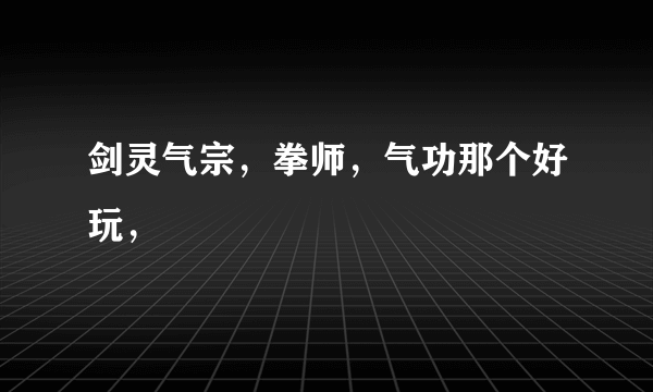 剑灵气宗，拳师，气功那个好玩，