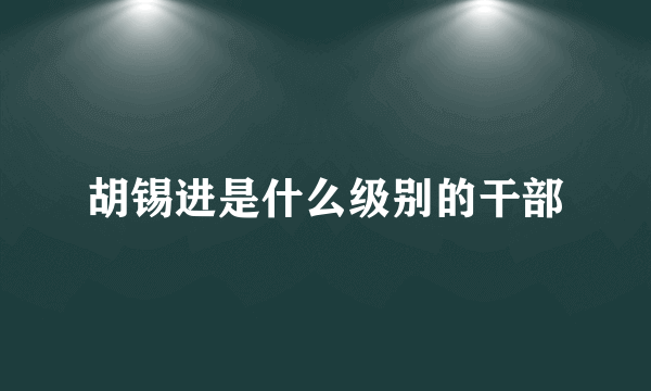 胡锡进是什么级别的干部