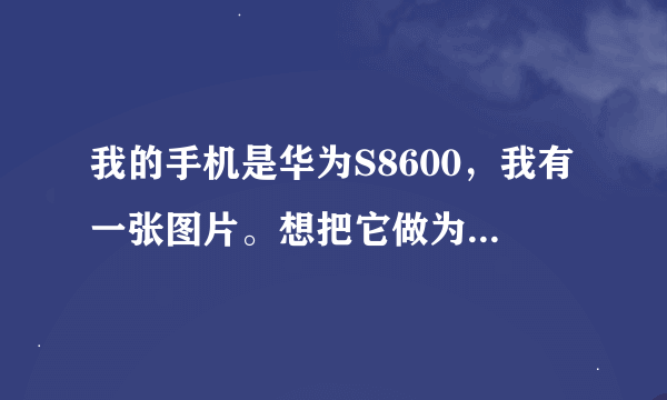 我的手机是华为S8600，我有一张图片。想把它做为壁纸。像素800X480我都设置了。怎么还不是全显示啊