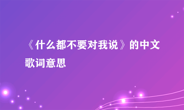 《什么都不要对我说》的中文歌词意思