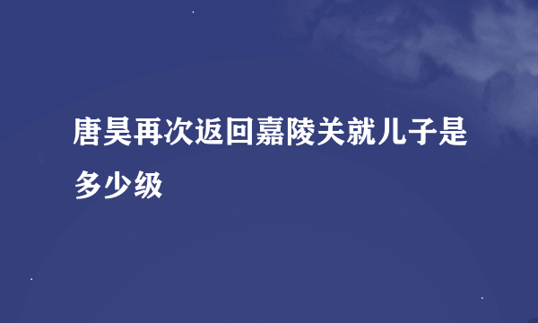 唐昊再次返回嘉陵关就儿子是多少级