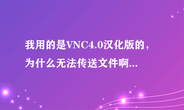 我用的是VNC4.0汉化版的，为什么无法传送文件啊，只能远程控制。