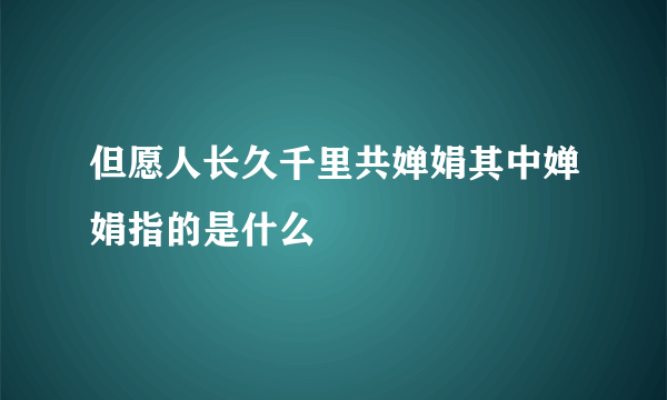 但愿人长久千里共婵娟其中婵娟指的是什么