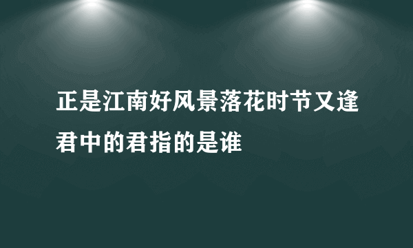 正是江南好风景落花时节又逢君中的君指的是谁