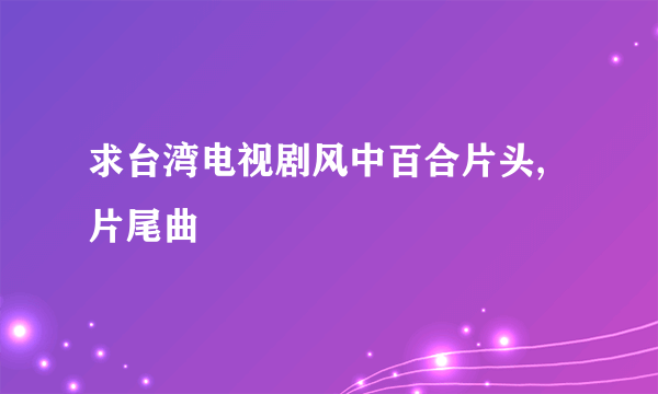 求台湾电视剧风中百合片头,片尾曲