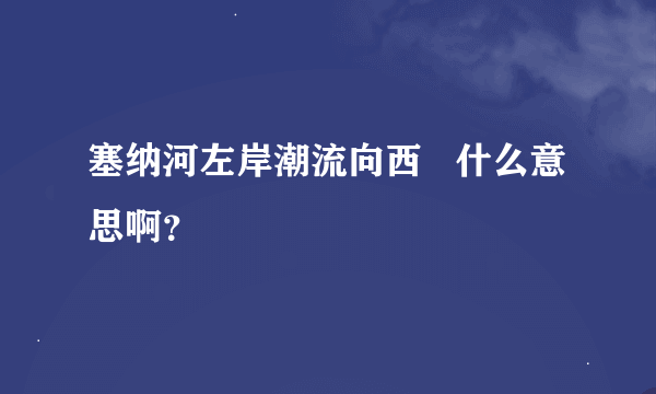 塞纳河左岸潮流向西   什么意思啊？