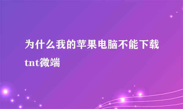 为什么我的苹果电脑不能下载tnt微端