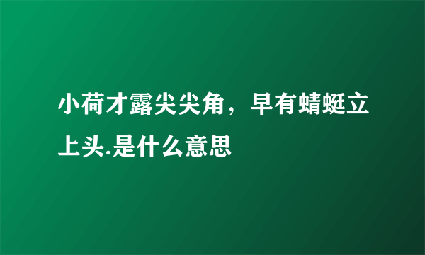 小荷才露尖尖角，早有蜻蜓立上头.是什么意思