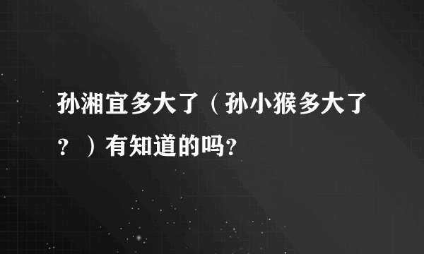 孙湘宜多大了（孙小猴多大了？）有知道的吗？