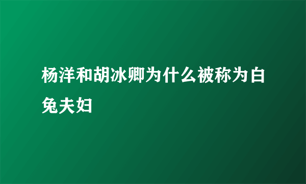 杨洋和胡冰卿为什么被称为白兔夫妇