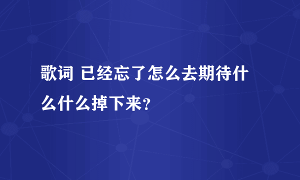 歌词 已经忘了怎么去期待什么什么掉下来？