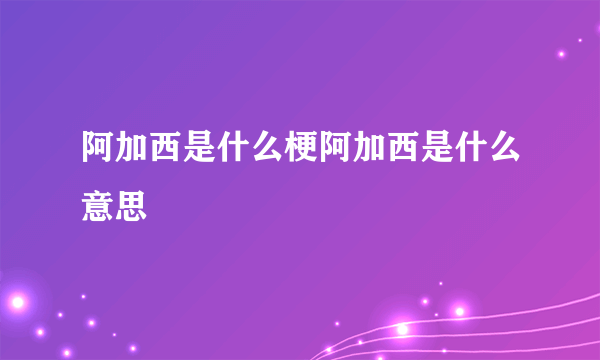 阿加西是什么梗阿加西是什么意思