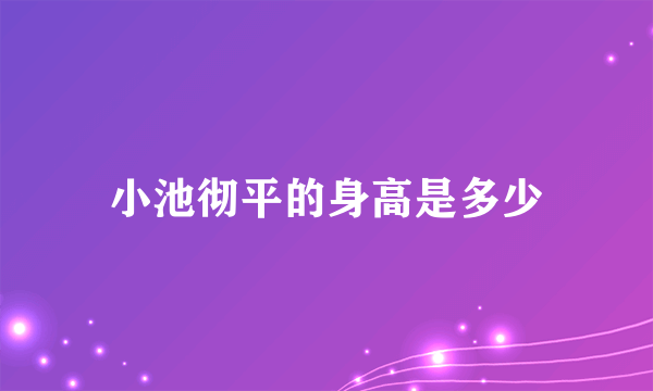 小池彻平的身高是多少