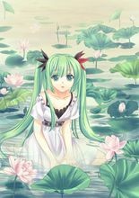 初音未来有多少亚种？