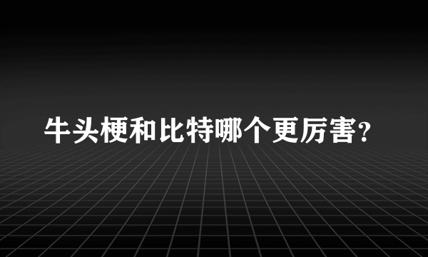 牛头梗和比特哪个更厉害？