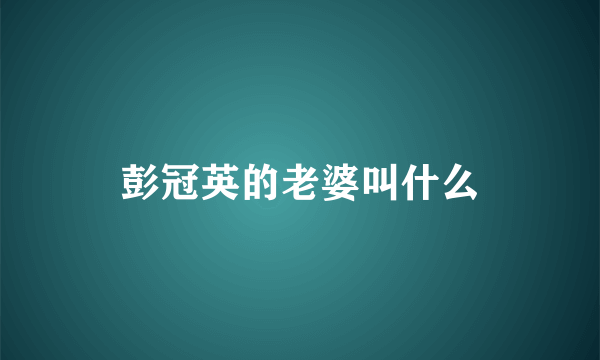 彭冠英的老婆叫什么