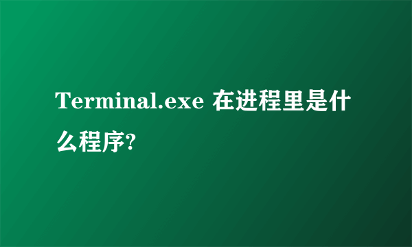 Terminal.exe 在进程里是什么程序?