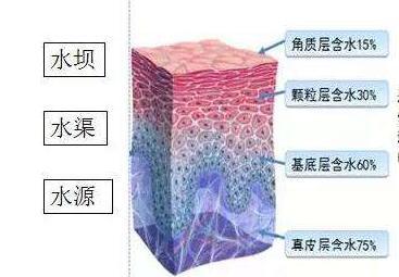 美版超声刀多久做一次合适