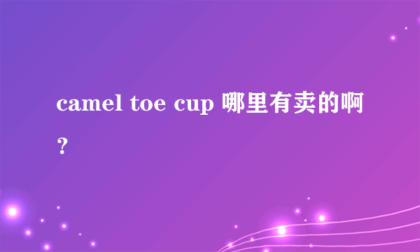 camel toe cup 哪里有卖的啊？