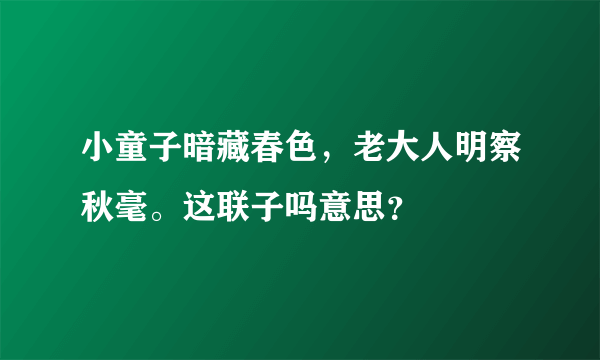 小童子暗藏春色，老大人明察秋毫。这联子吗意思？