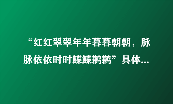 “红红翠翠年年暮暮朝朝，脉脉依依时时鲽鲽鹣鹣”具体怎么解释呢