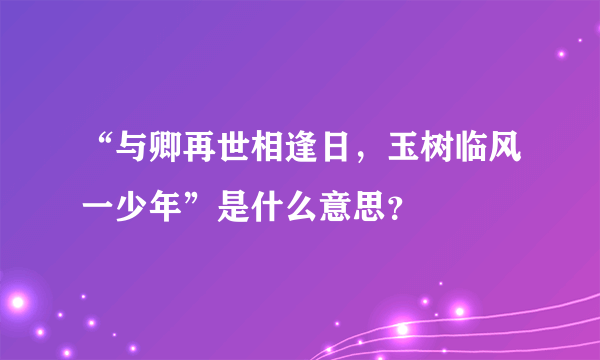 “与卿再世相逢日，玉树临风一少年”是什么意思？