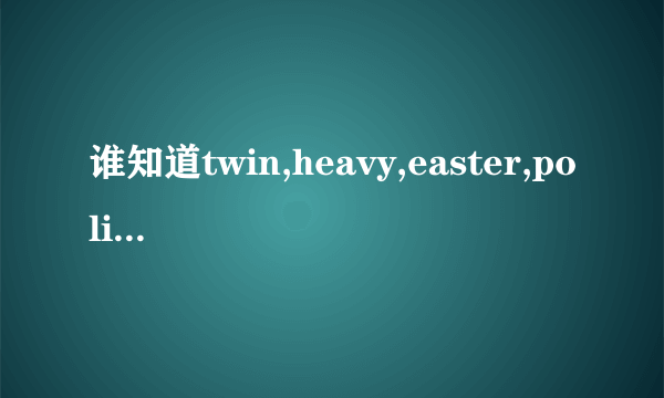 谁知道twin,heavy,easter,police,tidy,policeman,cloudy这些单词的汉译和音标？？？急啊！大侠们救救我！!