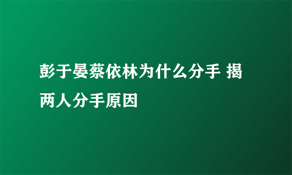 彭于晏蔡依林为什么分手 揭两人分手原因