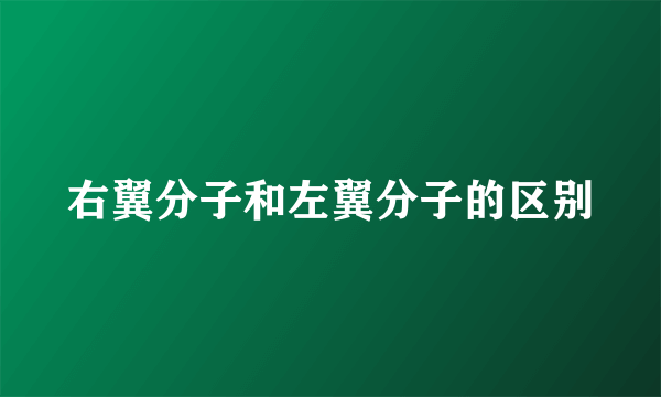 右翼分子和左翼分子的区别