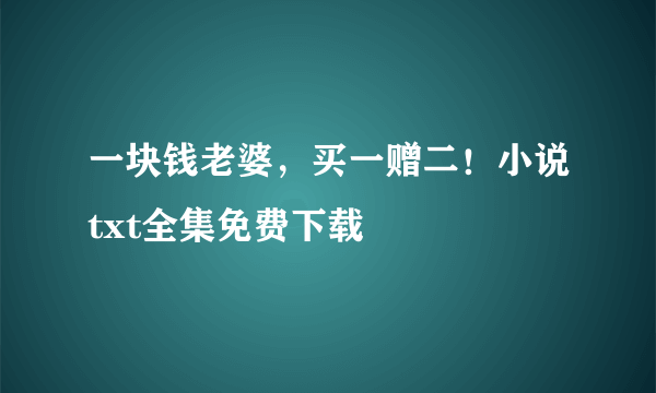 一块钱老婆，买一赠二！小说txt全集免费下载