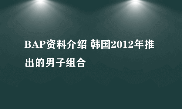 BAP资料介绍 韩国2012年推出的男子组合