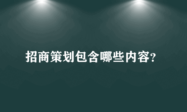 招商策划包含哪些内容？