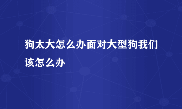 狗太大怎么办面对大型狗我们该怎么办