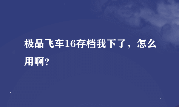 极品飞车16存档我下了，怎么用啊？