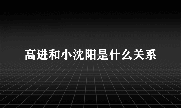 高进和小沈阳是什么关系