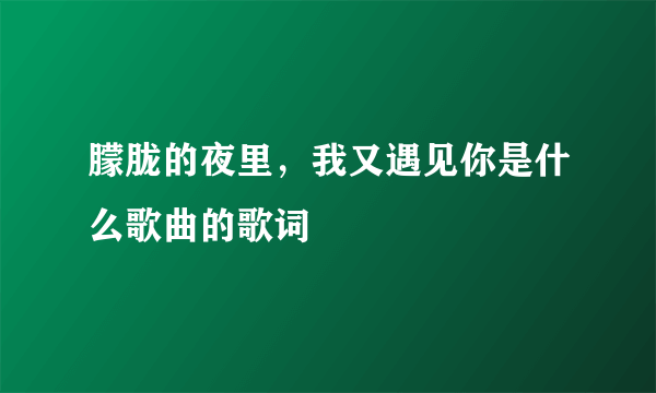 朦胧的夜里，我又遇见你是什么歌曲的歌词