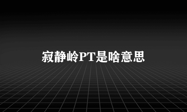 寂静岭PT是啥意思