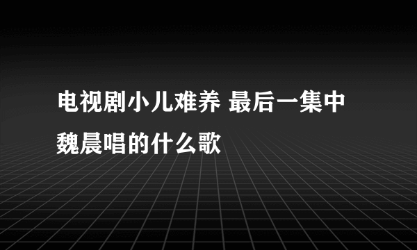 电视剧小儿难养 最后一集中魏晨唱的什么歌