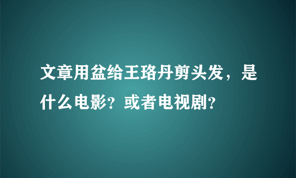 文章用盆给王珞丹剪头发，是什么电影？或者电视剧？