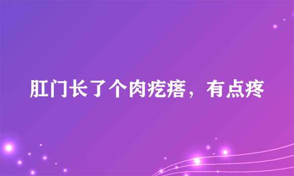 肛门长了个肉疙瘩，有点疼