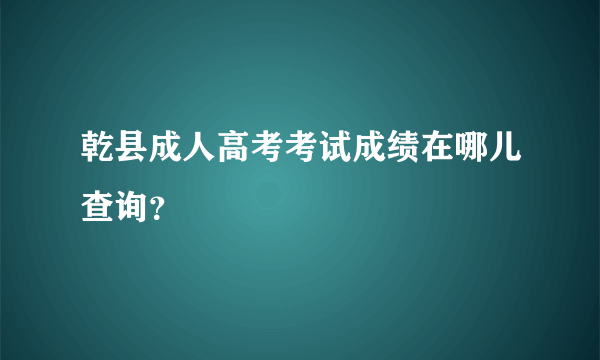 乾县成人高考考试成绩在哪儿查询？