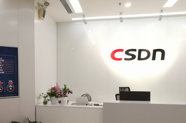 CSDN是什么意思啊？