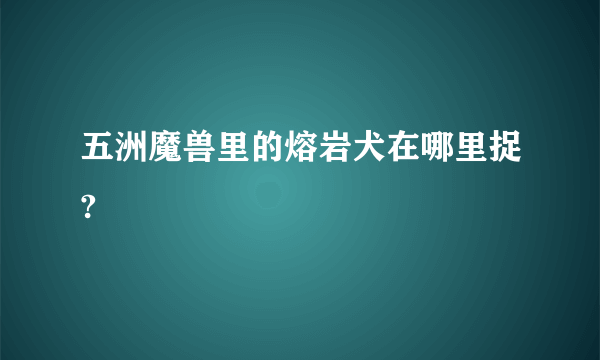 五洲魔兽里的熔岩犬在哪里捉?